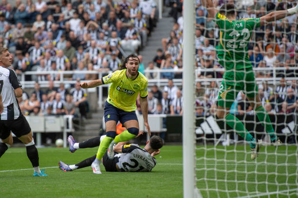 终以其顽强 终以其顽强