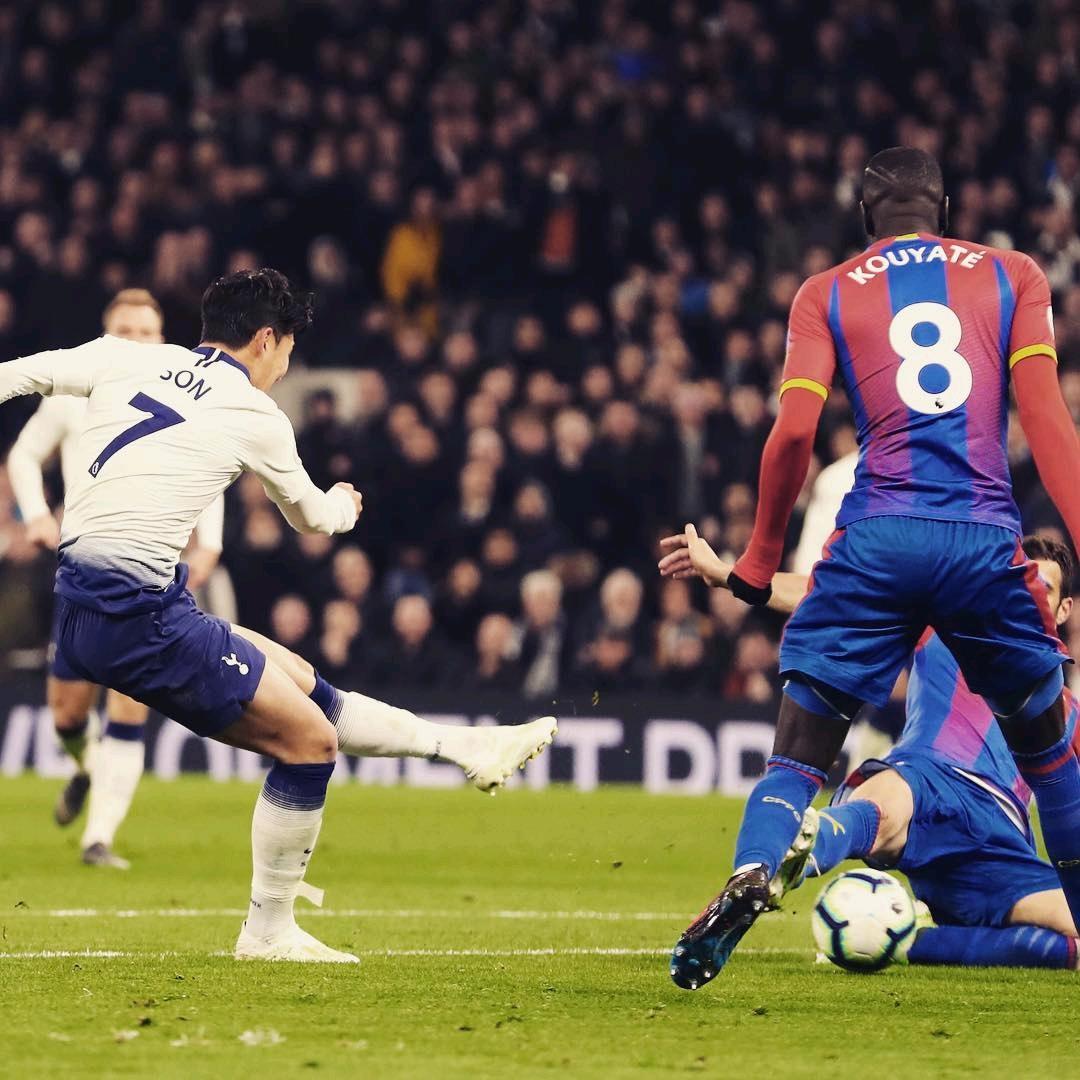 教练的悉心 教练的悉心